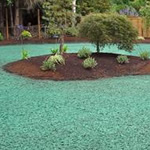 Hydroseeding in Garden